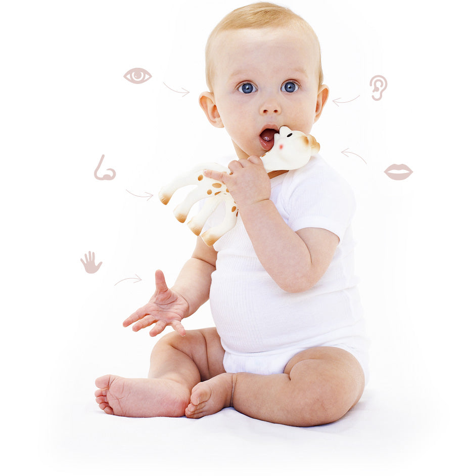 Set Jirafa Sophie para bebés mordedor natural + sonajero