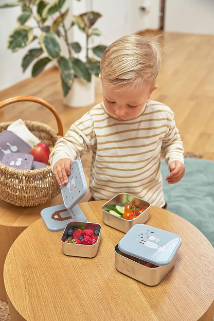 LASSIG Snackbox set de cajas de acero para snacks x3