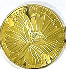 BRADOC Hada de los Dientes moneda metálica dorada para poner bajo la almohada 4 cm MARIPOSA