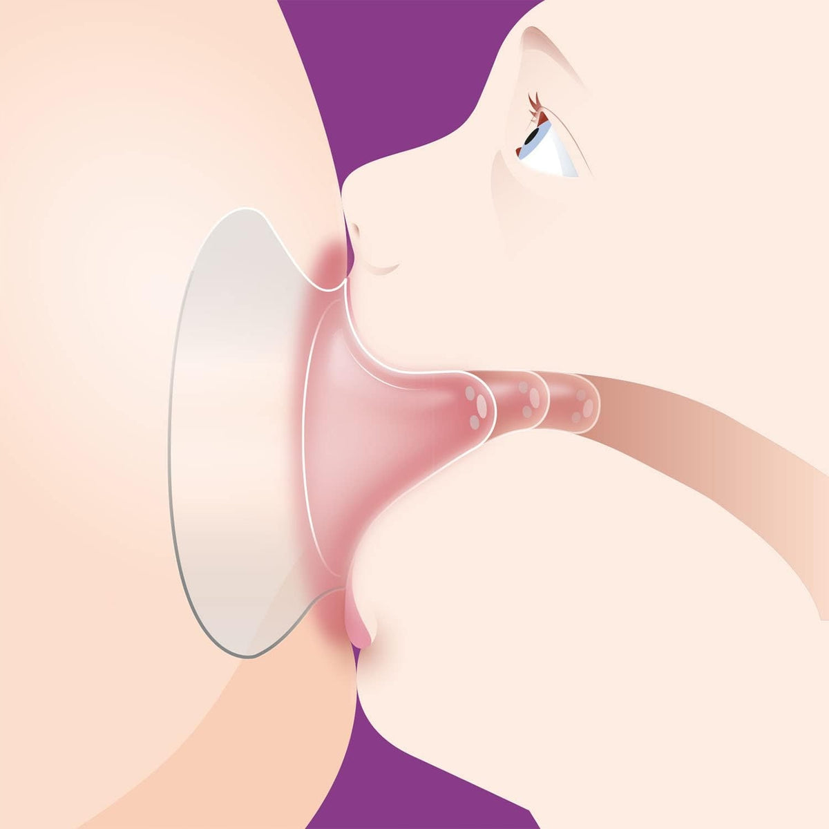 AVENT protector para pezones talla M 21mm