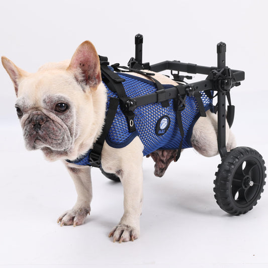 Kajile foldable stroller for small dogs XS