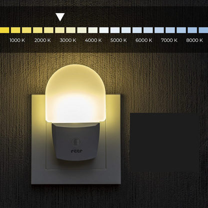 REER NightGuide lámpara nocturna LED para enchufe con sensor de oscuridad 6 x 9,5 cm