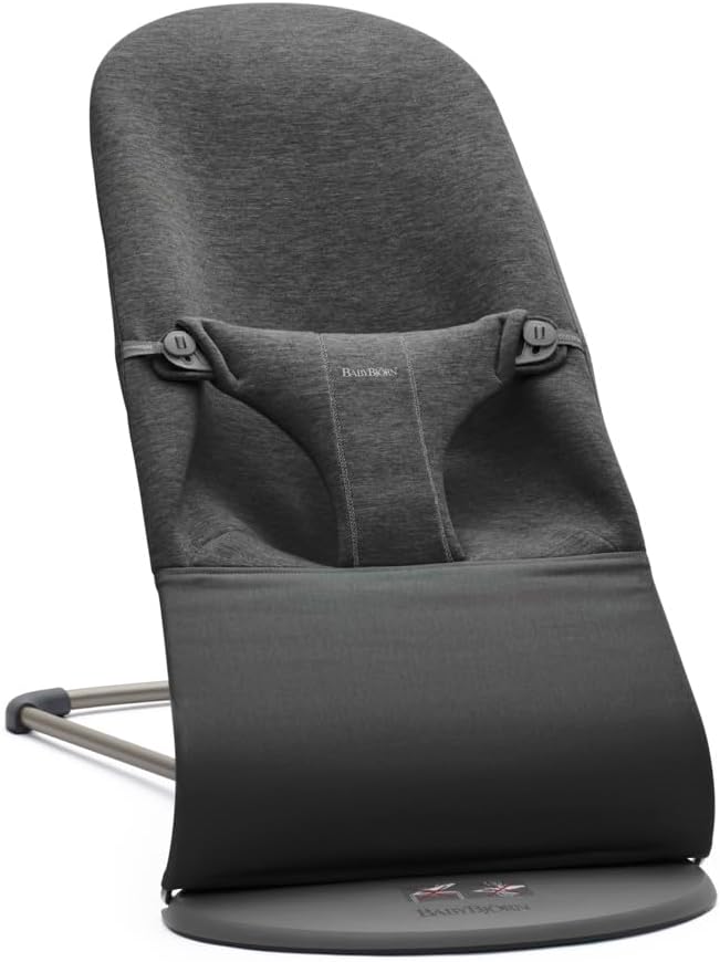 BABYBJORN Bliss hamaca y trona 2 en 1 3,5-13 kg