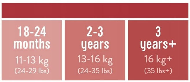 BAMBINO MIO majtki treningowe białe 3 lata+ dla dziecka 16 kg+, tabela rozmiarów 3 years+