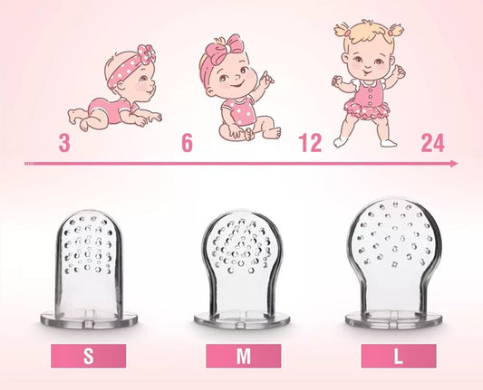 LUXIOR dispensador de chupete para frutas para niños de 3-12 meses 2 piezas 6 boquillas
