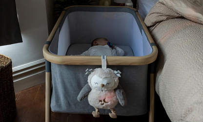 TOMMEE TIPPEE Sowa Ollie Deluxe Peluche lámpara con sonidos para bebés