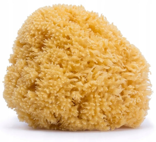 SUAVINEX esponja marina natural para niños 10 cm