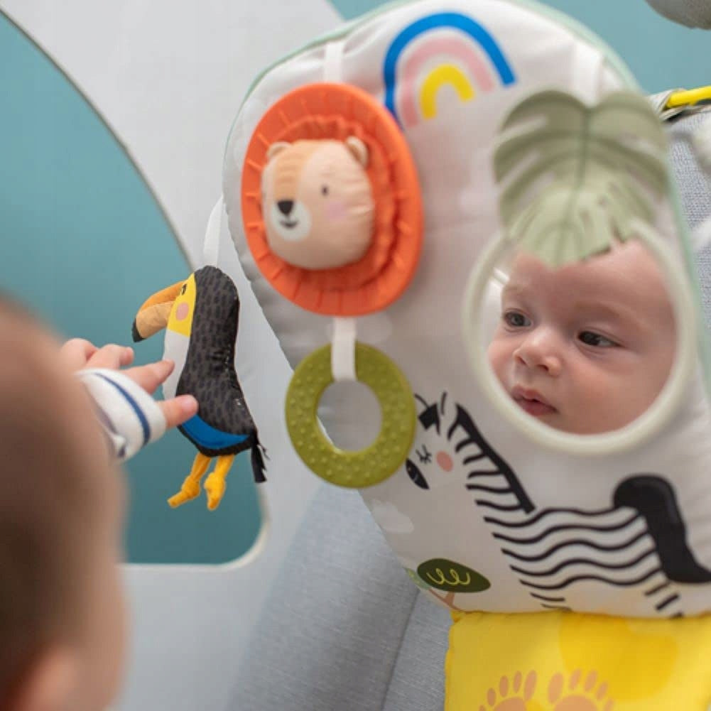 TAF TOYS centrum aktywności do auta z lusterkiem dla niemowląt, wielokolorowe, BPA free
