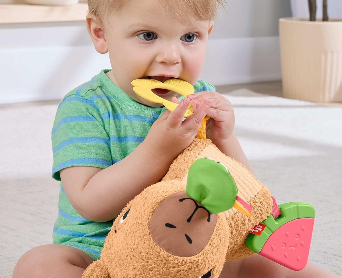FISHER-PRICE capibara sensorial de peluche con mordedor y sonajero 23,5 cm