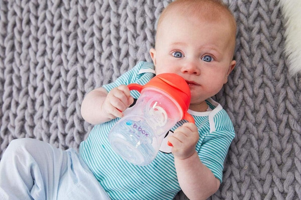B.BOX Vaso antiderrame Sippy Cup 240 ml 6 m+