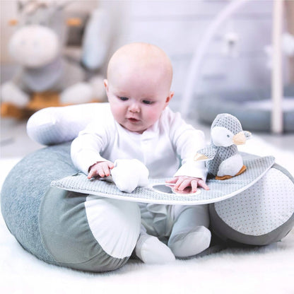 NUBY SIT-ME-UP siedzisko dla niemowląt z pingwinem, dla dzieci 6msc+, maks. 15kg, rozwija zmysły
